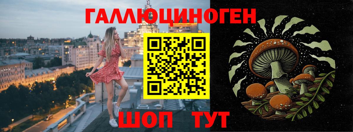 Галлюциногенные грибы Cubensis  Вход с VPN  Александров 